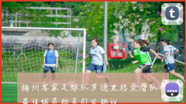 梅州客家足球队罗德里格荣膺队内最佳球员称号引发热议